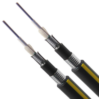Outdoor Armored GYXTW 2 4 6 12 24 Core Fiber Optic Cable 1km for Speed Data Transmission