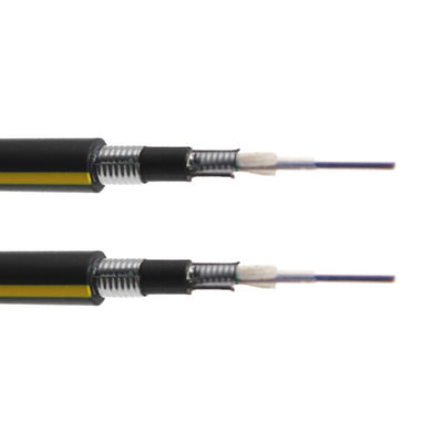 Outdoor Armored GYXTW 2 4 6 12 24 Core Fiber Optic Cable 1km for Speed Data Transmission