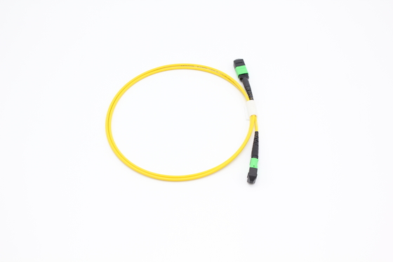 OM3/OM4 MPO Connecteur 12 fibre MPO câble de tronc 8/12/24F MTP MPO câble pour le centre de données